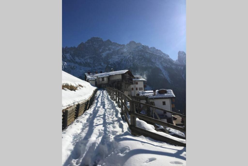 Studio Ebi Vacation - Alleghe - Monte Civetta 外观 照片