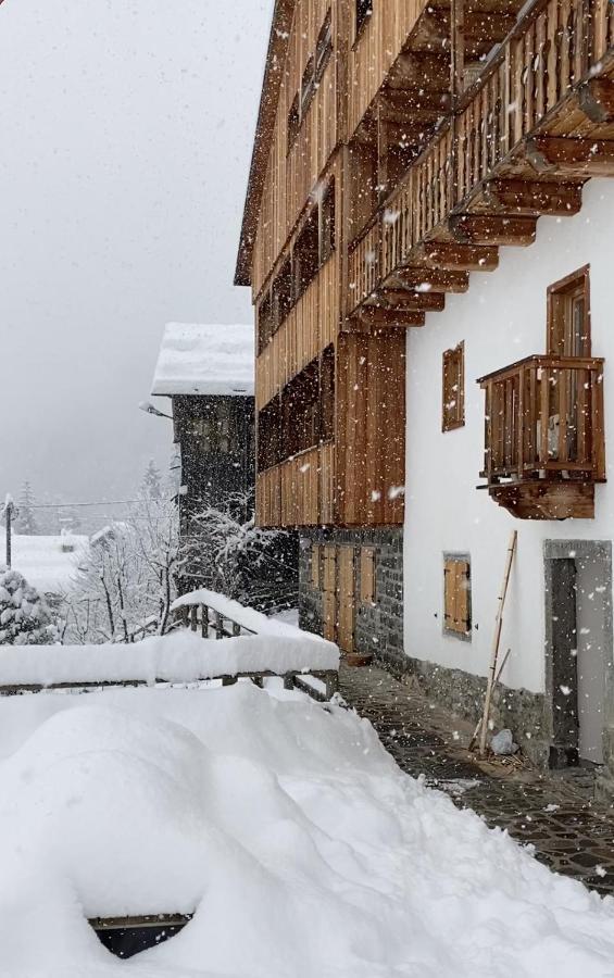 Studio Ebi Vacation - Alleghe - Monte Civetta 外观 照片
