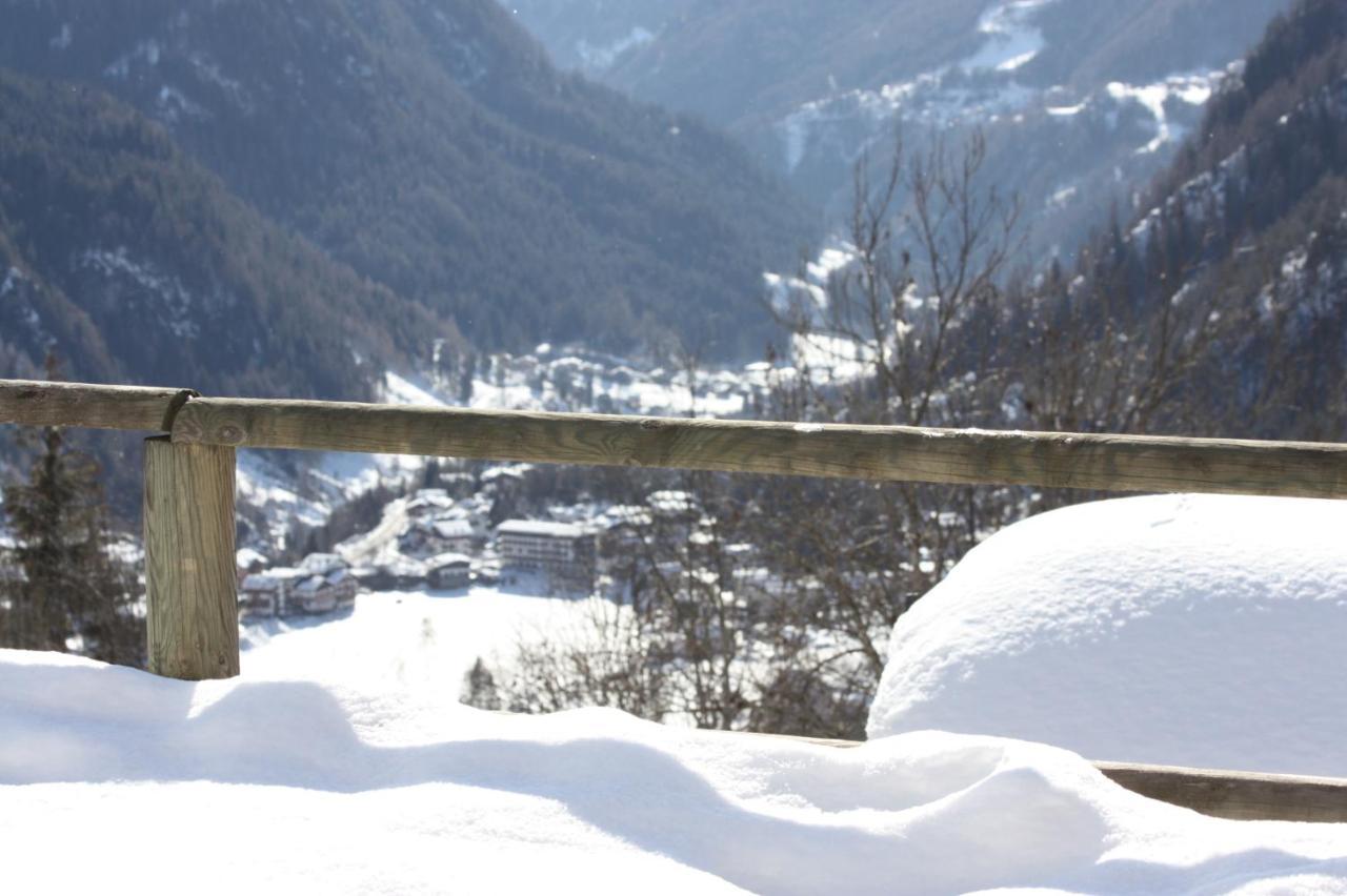 Studio Ebi Vacation - Alleghe - Monte Civetta 外观 照片