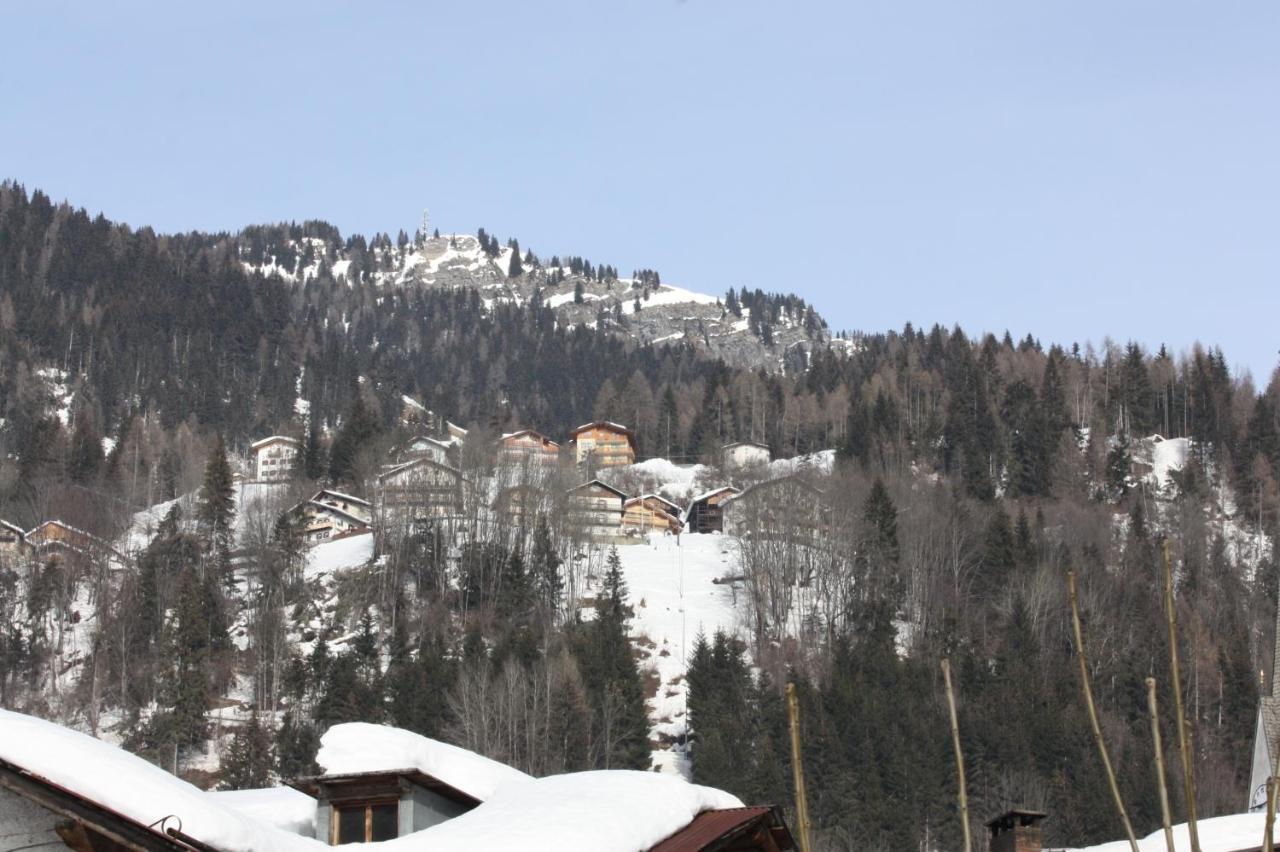 Studio Ebi Vacation - Alleghe - Monte Civetta 外观 照片